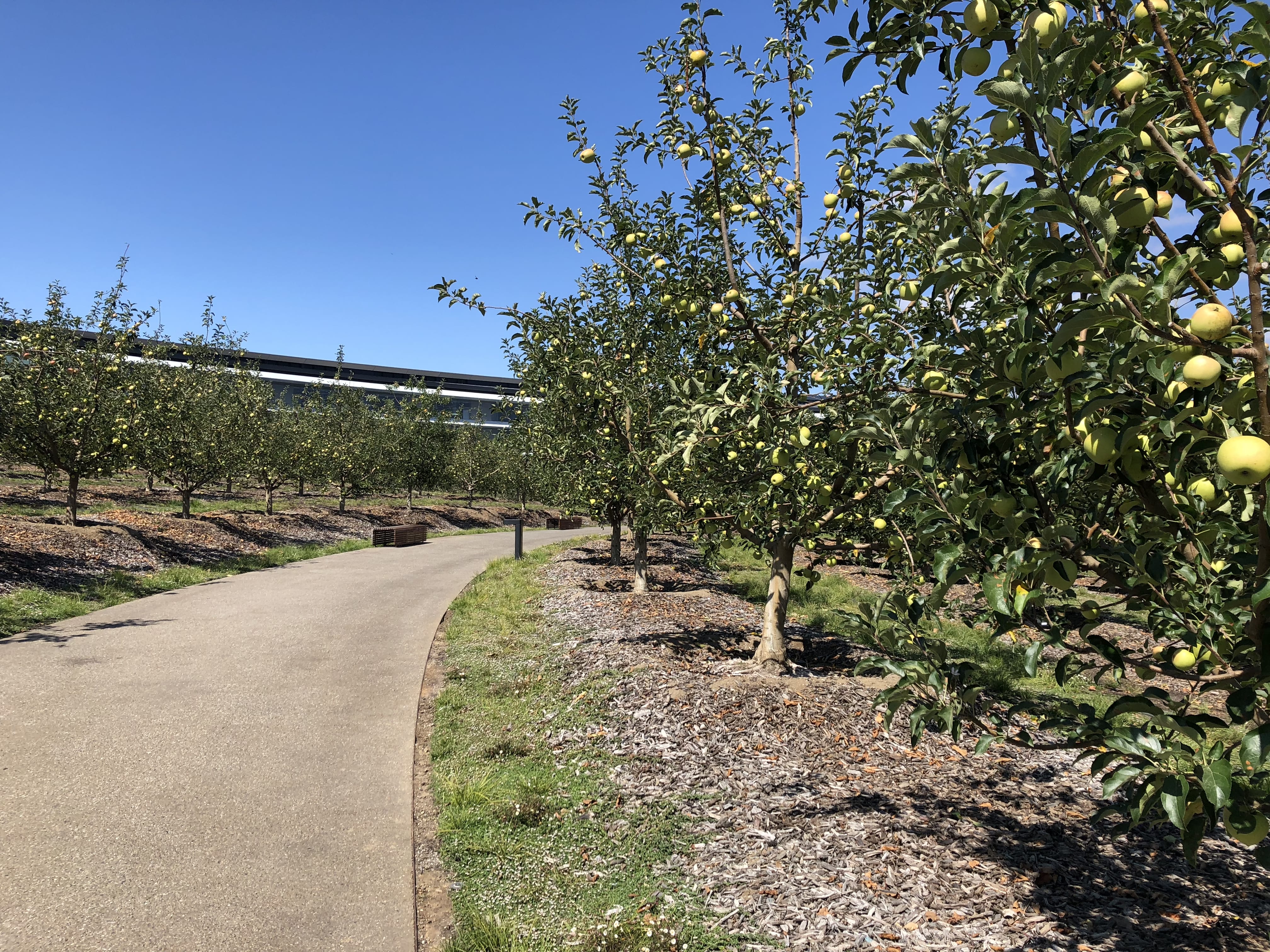 Apple Park