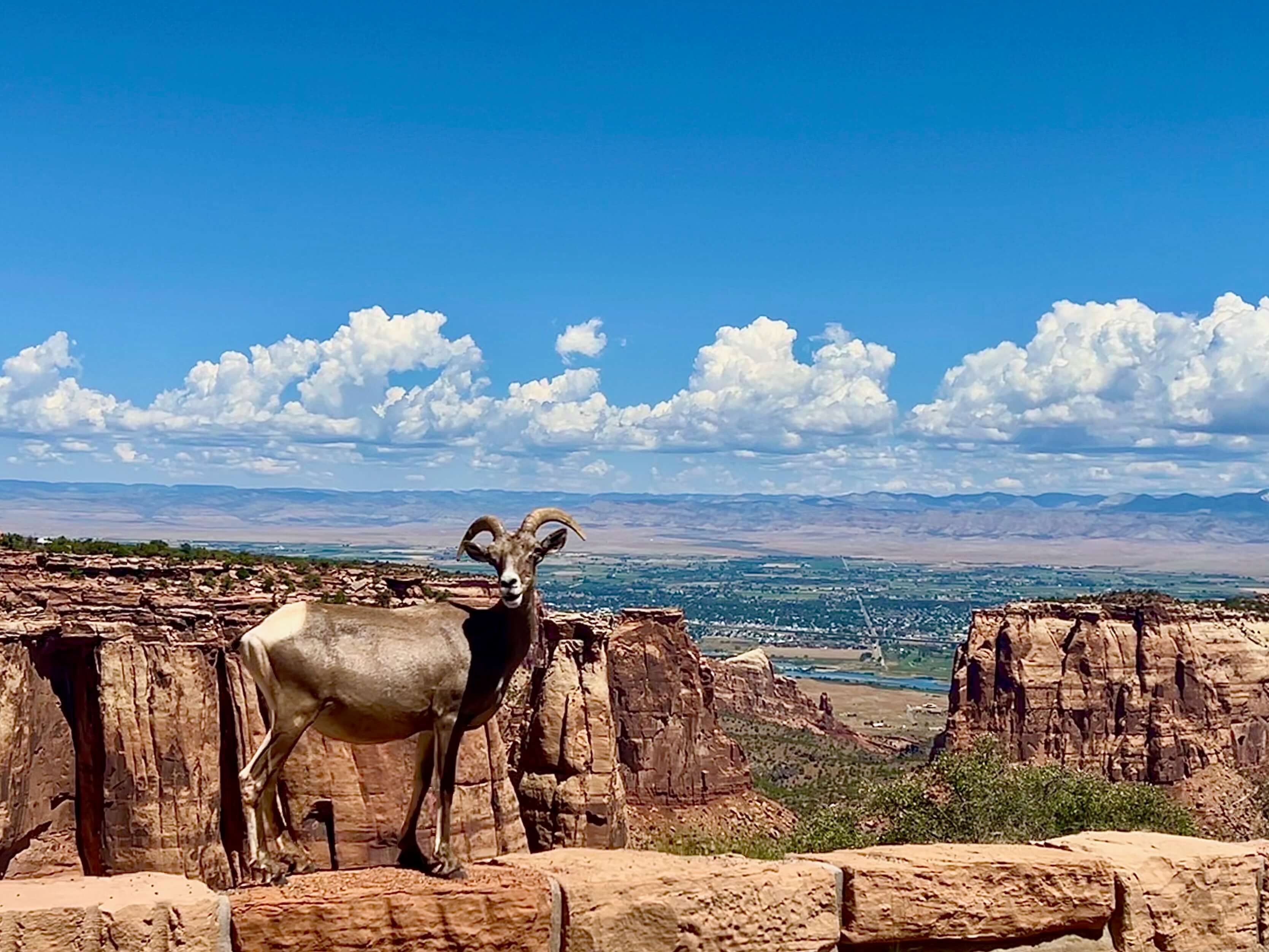 Colorado National Monument