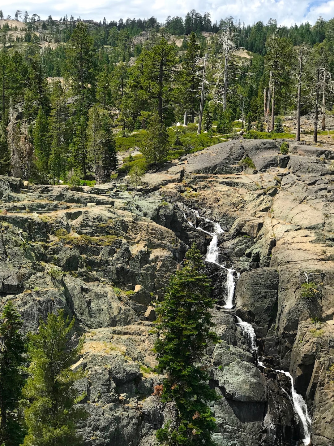 Plumas National Forest