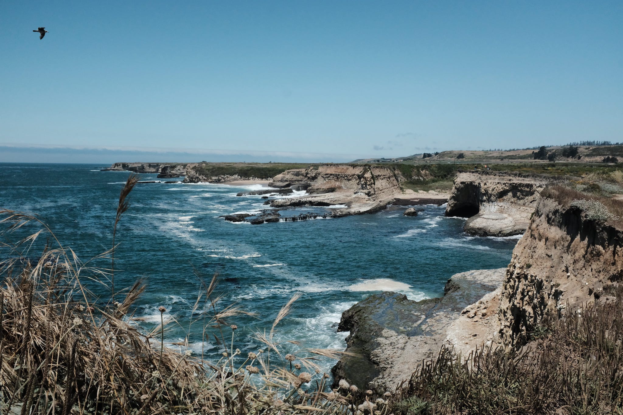 Wilder Ranch State Park